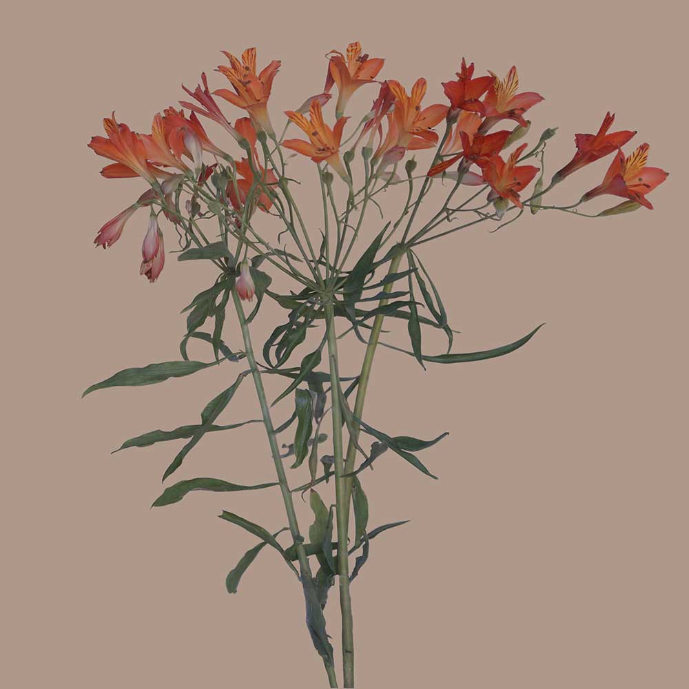 05