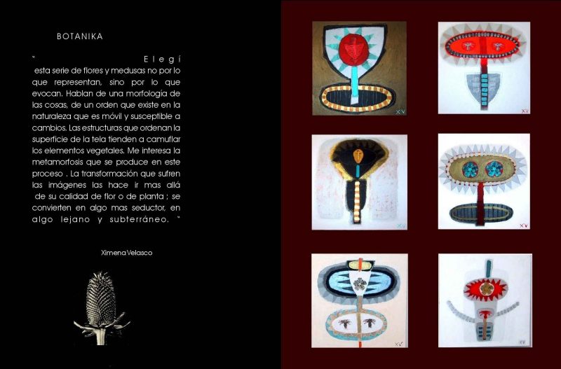 Exposición Ximena Velasco