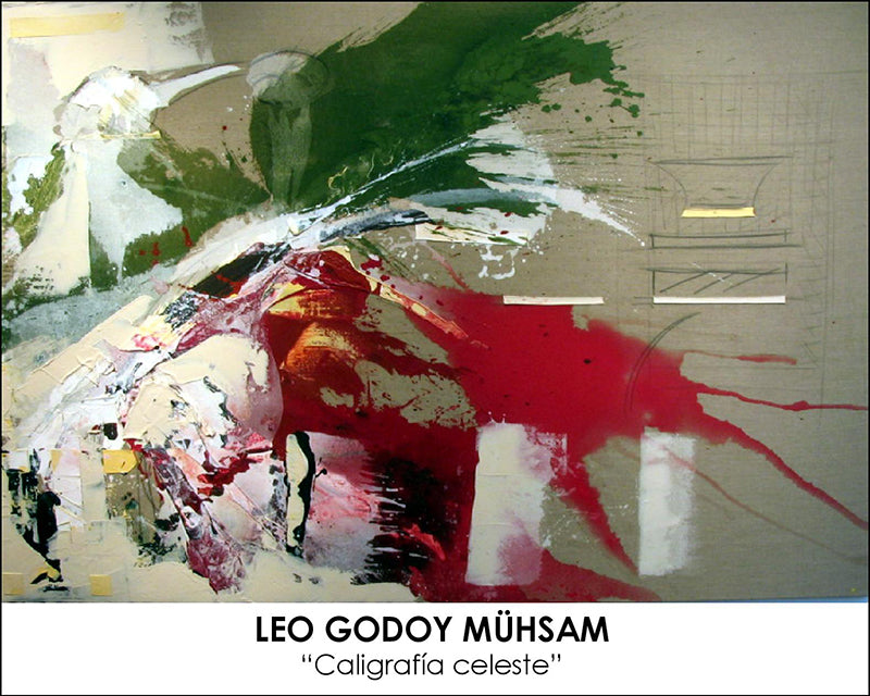 Exposición Leo Godoy