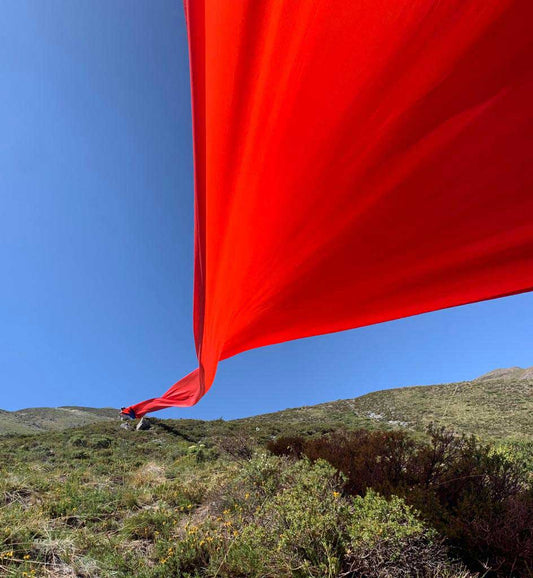 Viento
