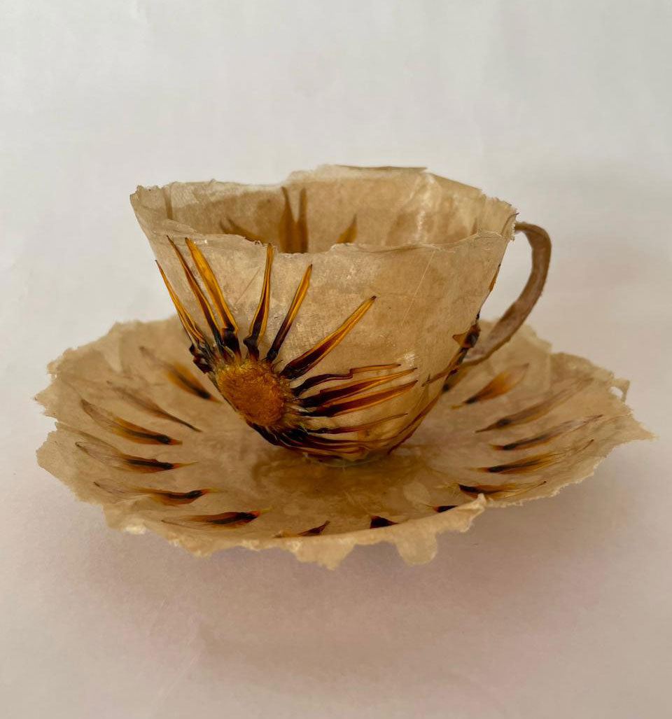 Taza Gallardia