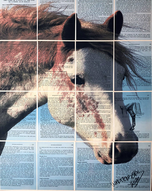 Manual of Horsemanship