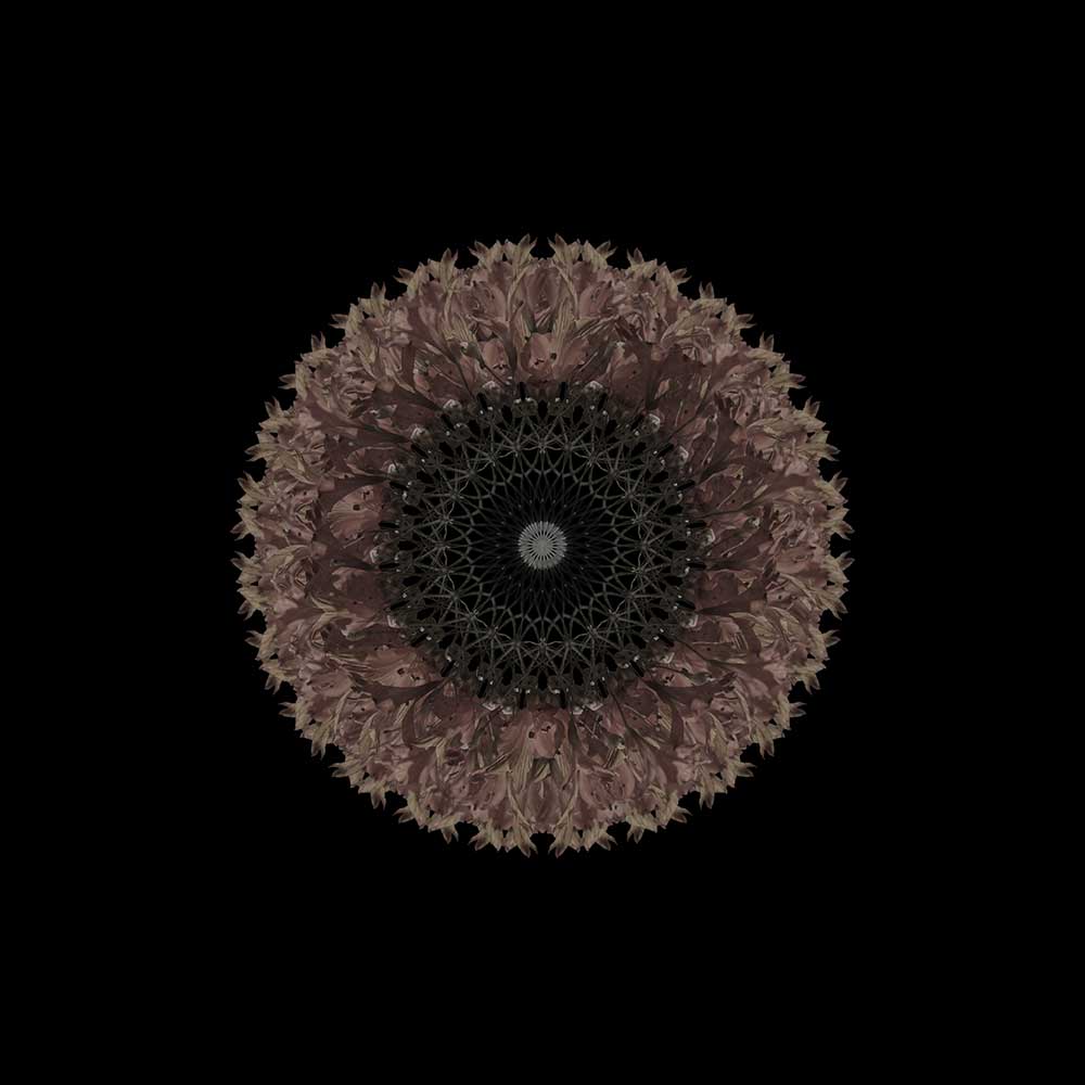 Mandala de Corona a002