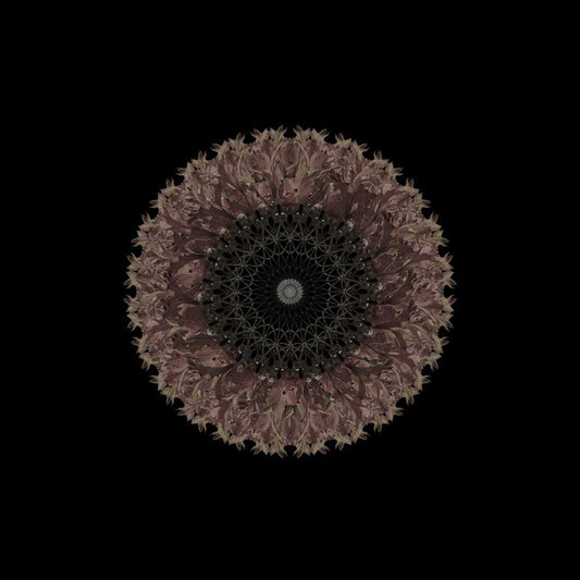 Mandala de Corona a002