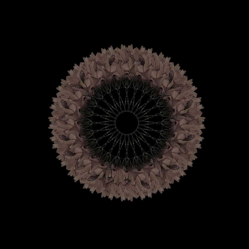 Mandala de Corona 003
