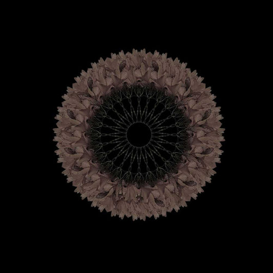 Mandala de Corona 003