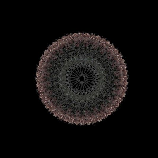 Mandala de Corona a004
