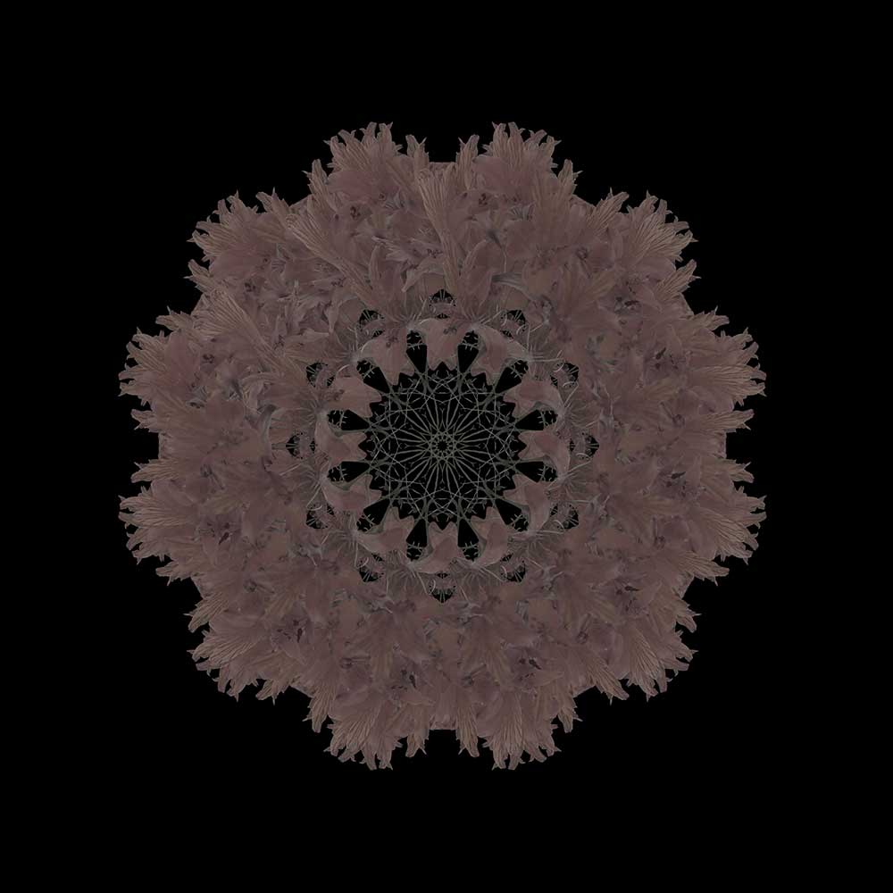 Mandala de Corona t8-8