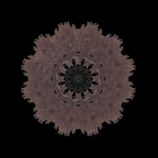 Mandala de Corona t8-8