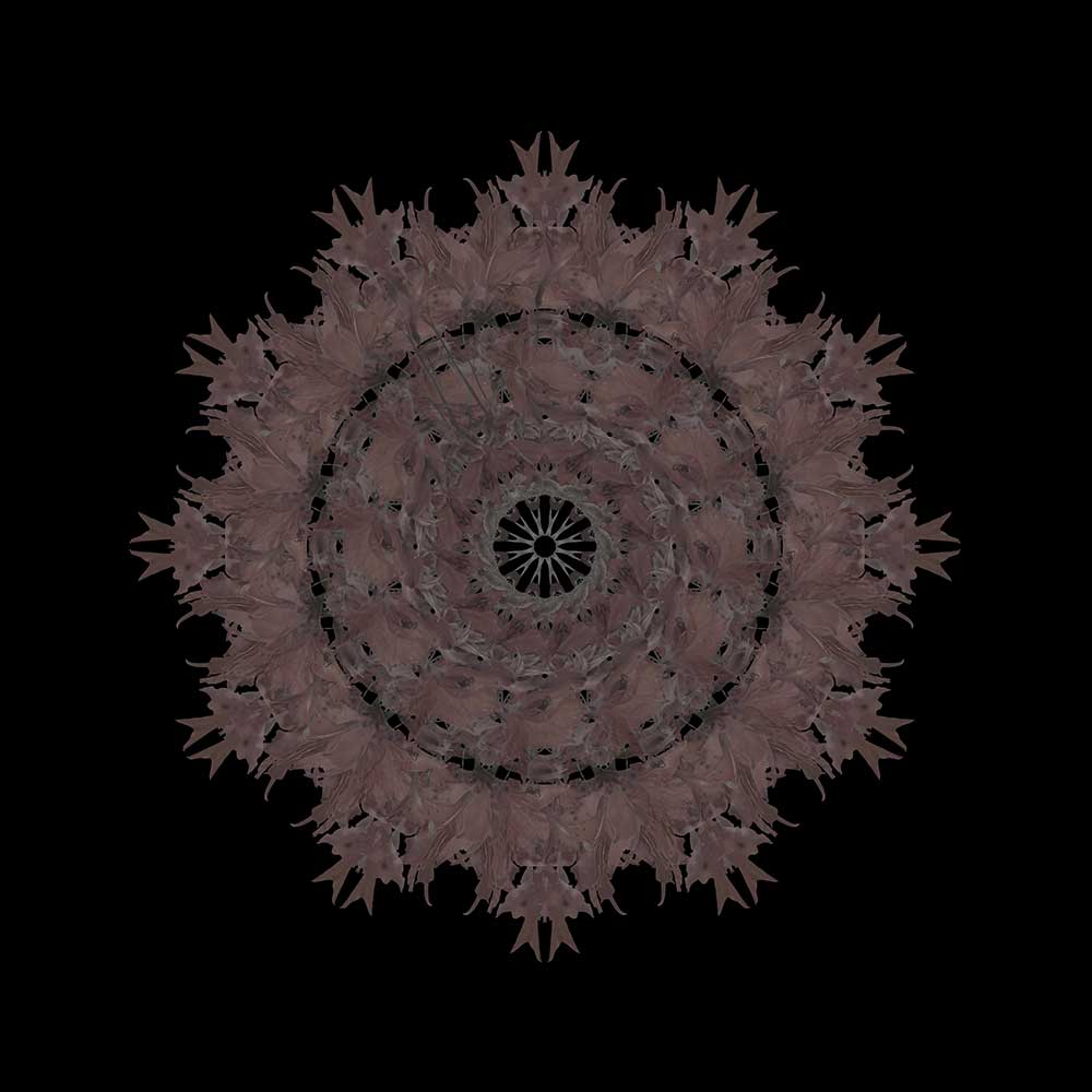 Mandala de Corona t8