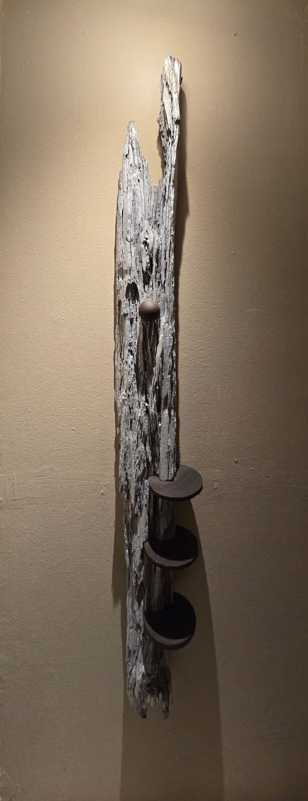 Expedición