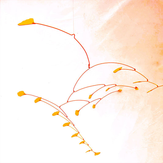 Gingko