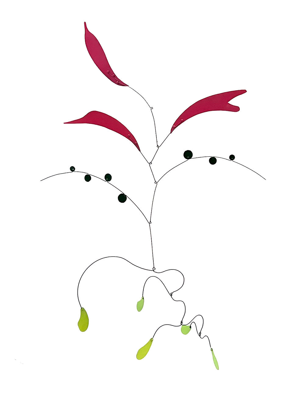 Lirio